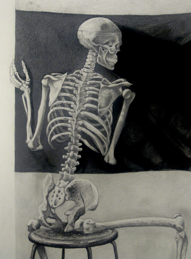 Skeleton again