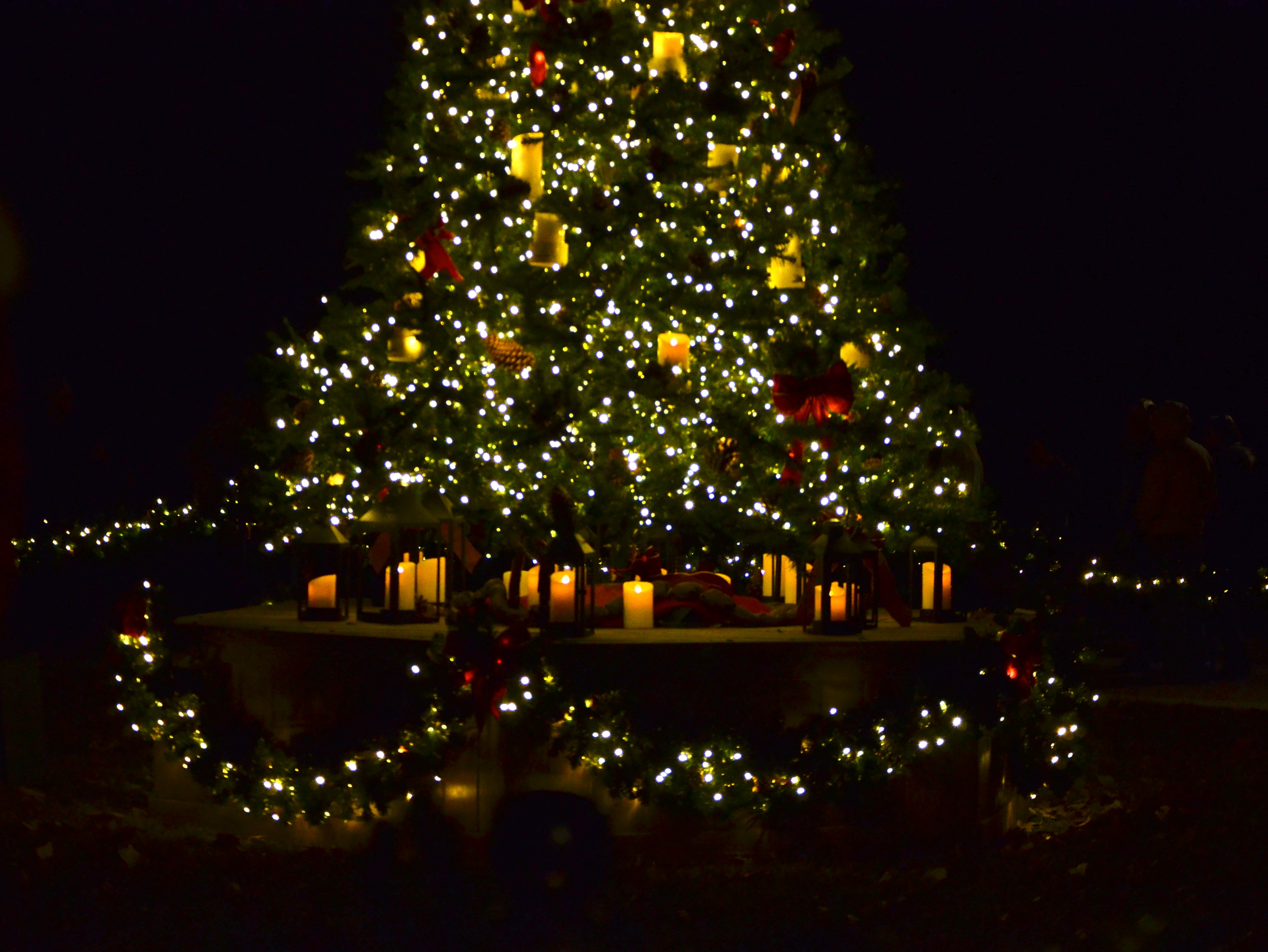 Candle lit tree