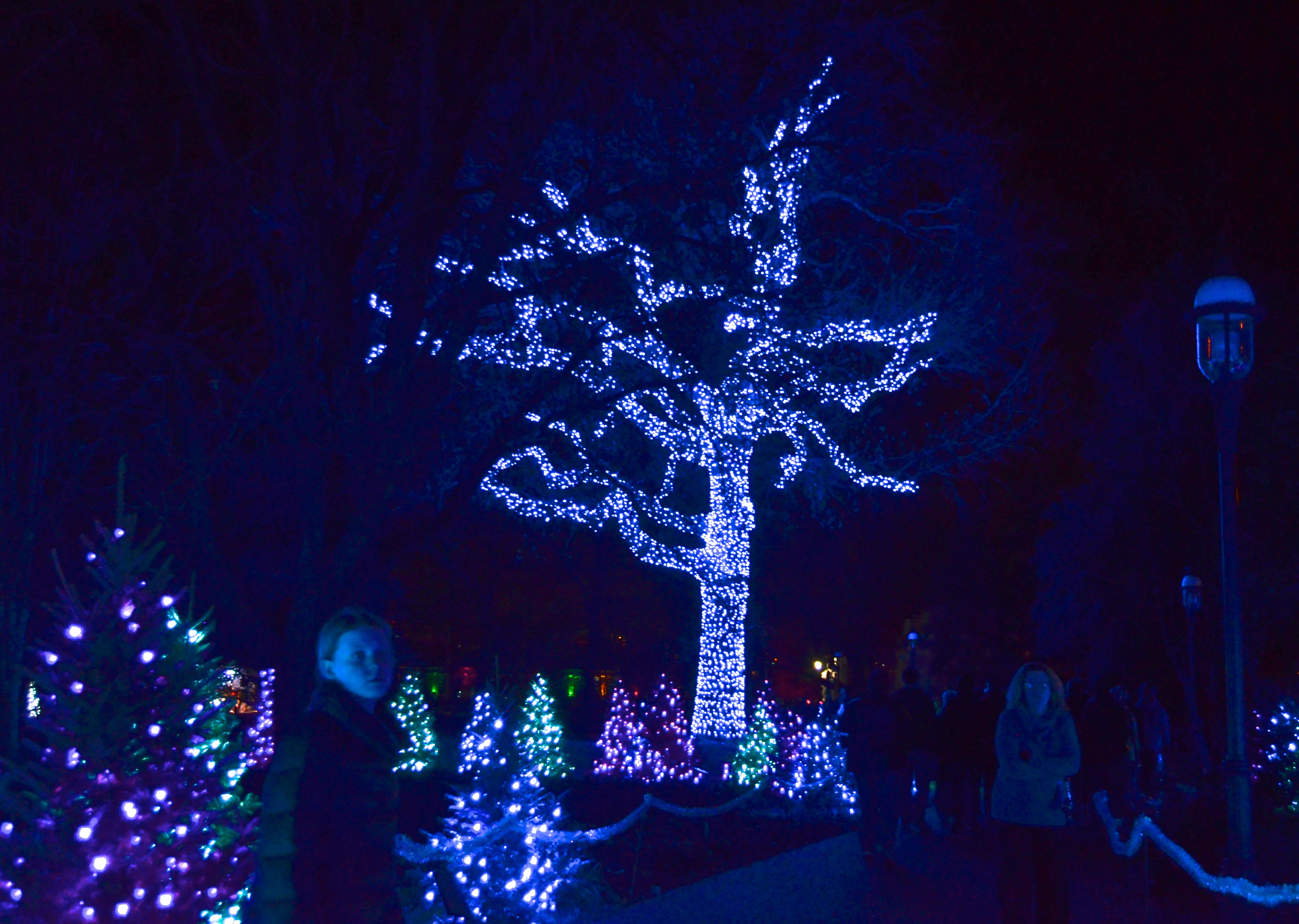 Great tree of light