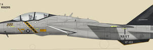 F-14F VF-103
