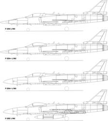 F-29 Lynx variations