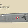 TSR-2 Italian Air Force ECR 1