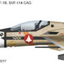 VF-1B SVF-114 CAG