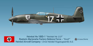 Heinkel Factory Defense He 100D-1 Greif