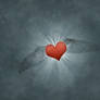 Can Love Fly?