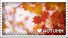 heart autumn
