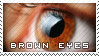 Brown Eyes. by PhysicalMagic