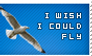 I Wish I Could Fly