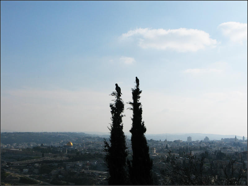 Jerusalem 2009