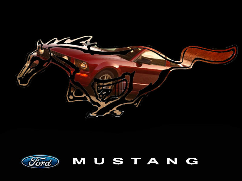 Знак мустанга. Логотип Ford Mustang Shelby. Mustang надпись. Мустанг надпись логотип.