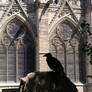 Notre Dame and Crow