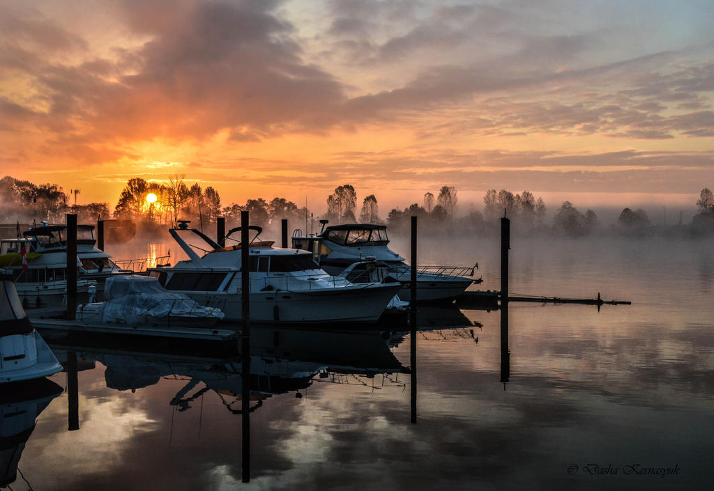 The Dock