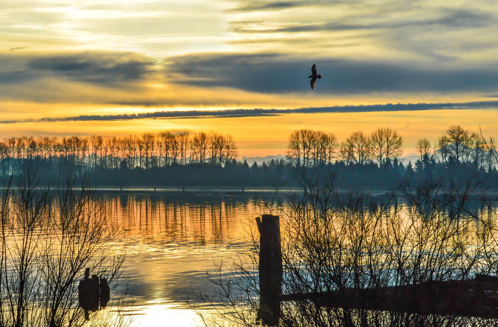 Flying on the wings of Love