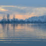 Winter in my heart