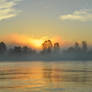 Morning Fog