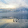 Fraser River in December