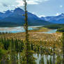 Jasper National Park