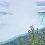 Niagara Falls (2)