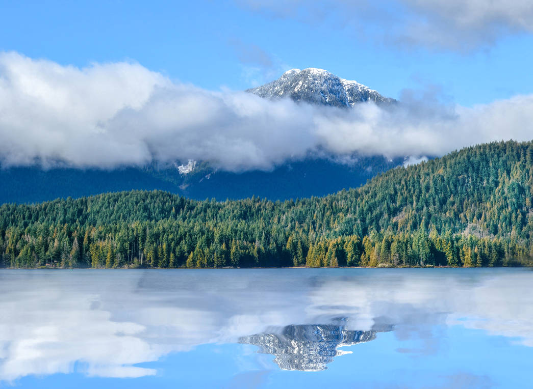 Pitt River in January by dashakern on DeviantArt