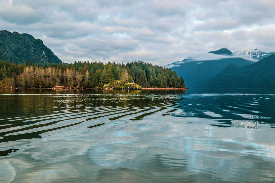Pitt River, February by dashakern on DeviantArt