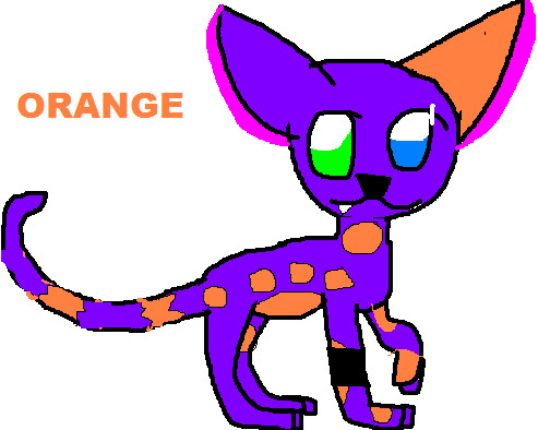 Orange da cat