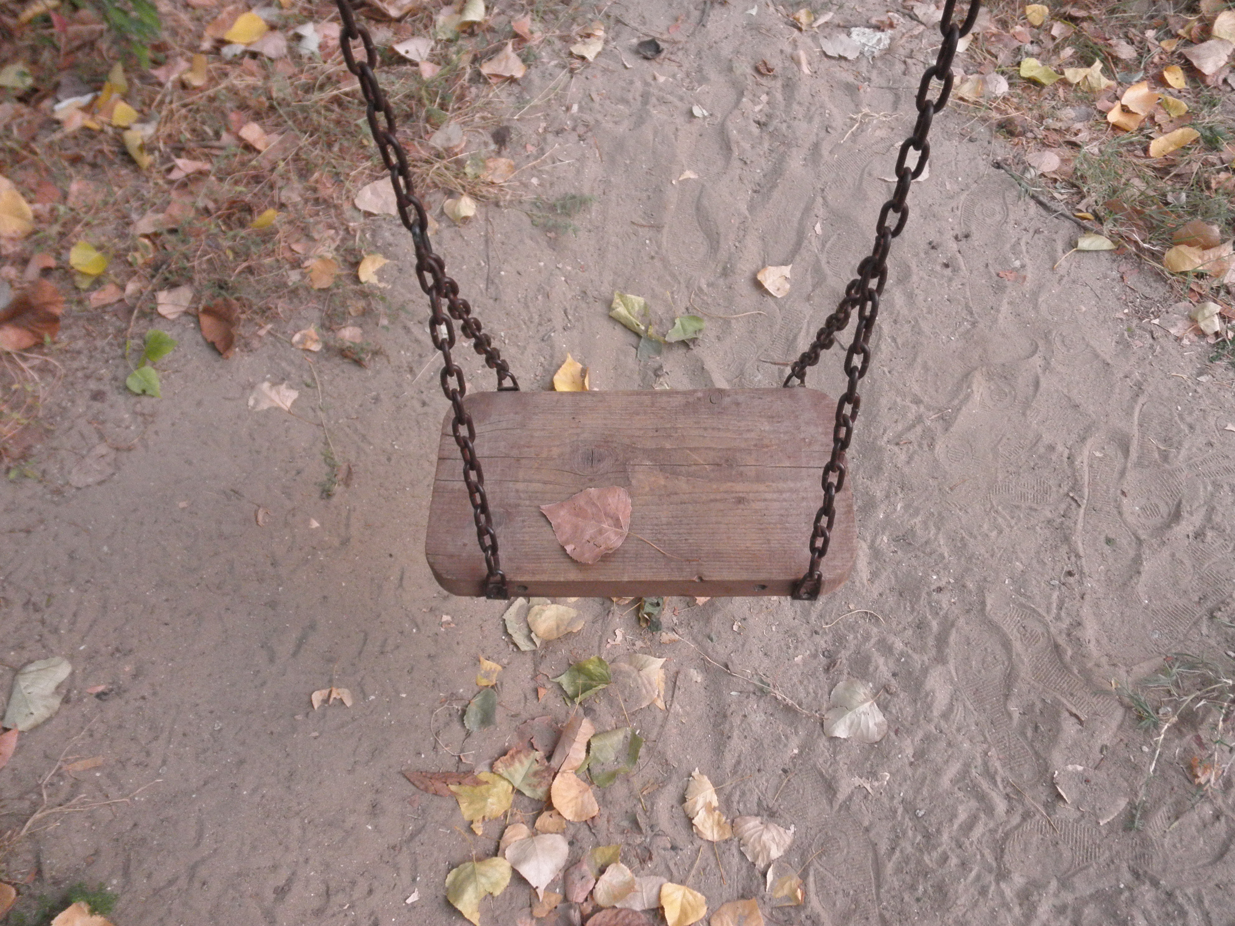 Wooden Swing