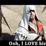 Ezio love BIRDS