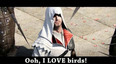 Ezio love BIRDS