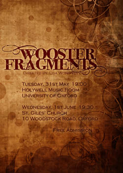 Wooster Fragments Insert