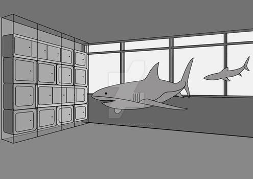 Sharks indoor