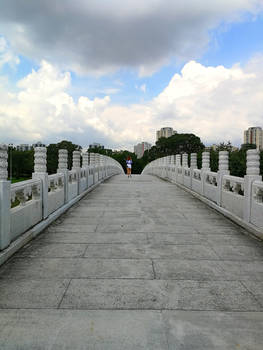 Bridge to Chinese Garden