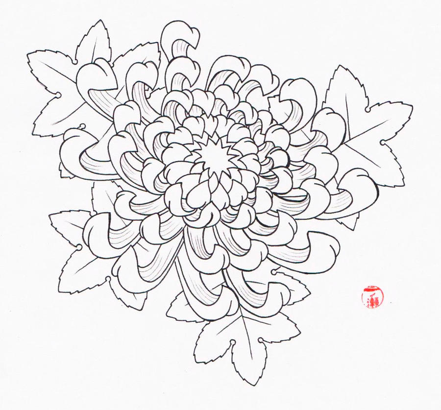 Хризантема схема. Раскраска Хризантема цветок. Орнамент хризантемы. Хризантема рисунок. Хризантема рисунок карандашом.