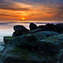 At the Belgian coast