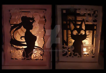 Shadow/light box (comes with LED light)