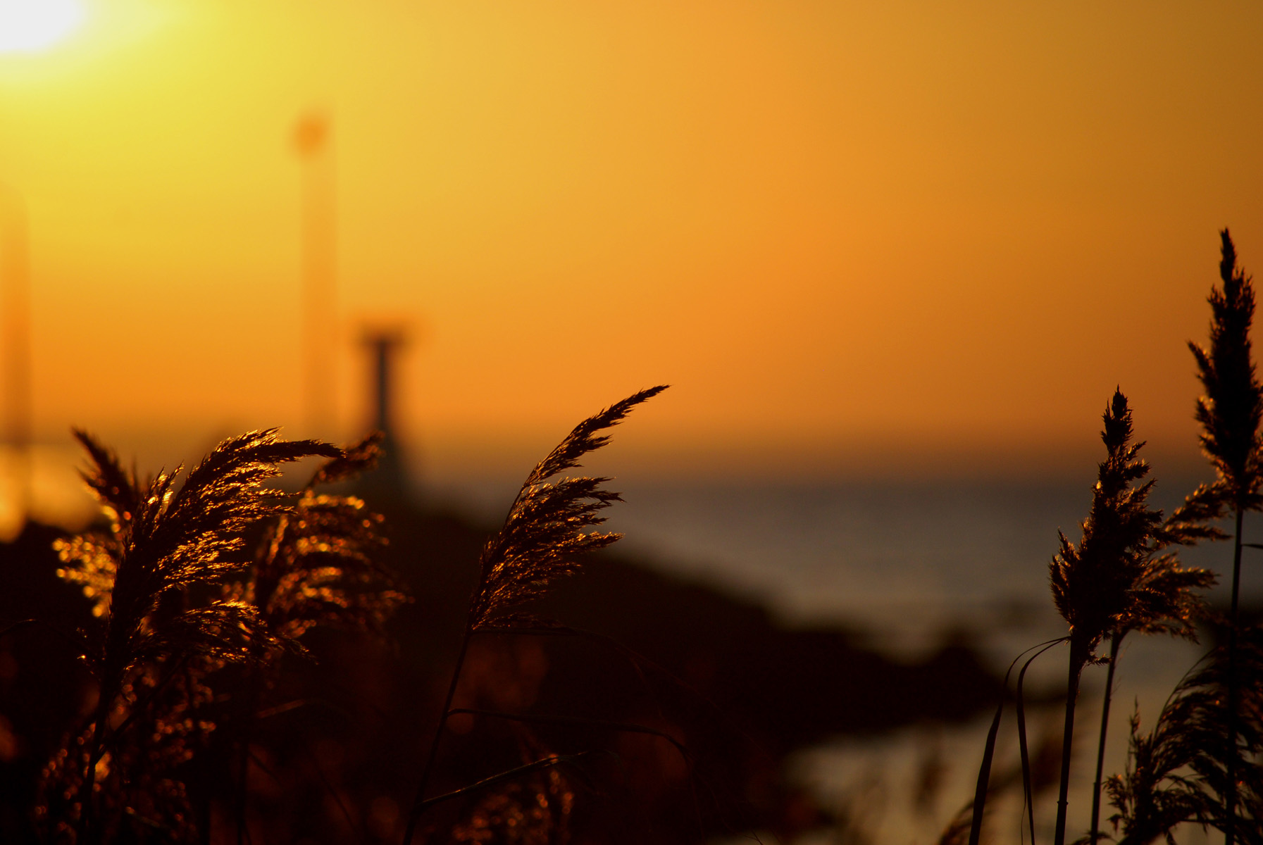 Harbour sunset