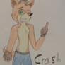 Crash Bandicoot