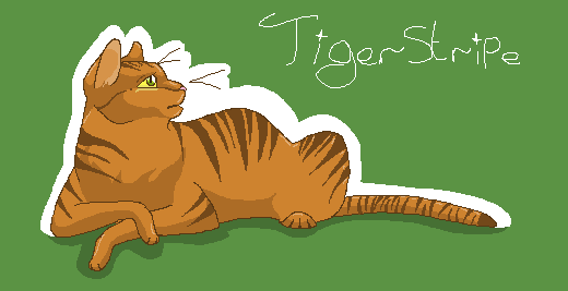 Tigerstripe