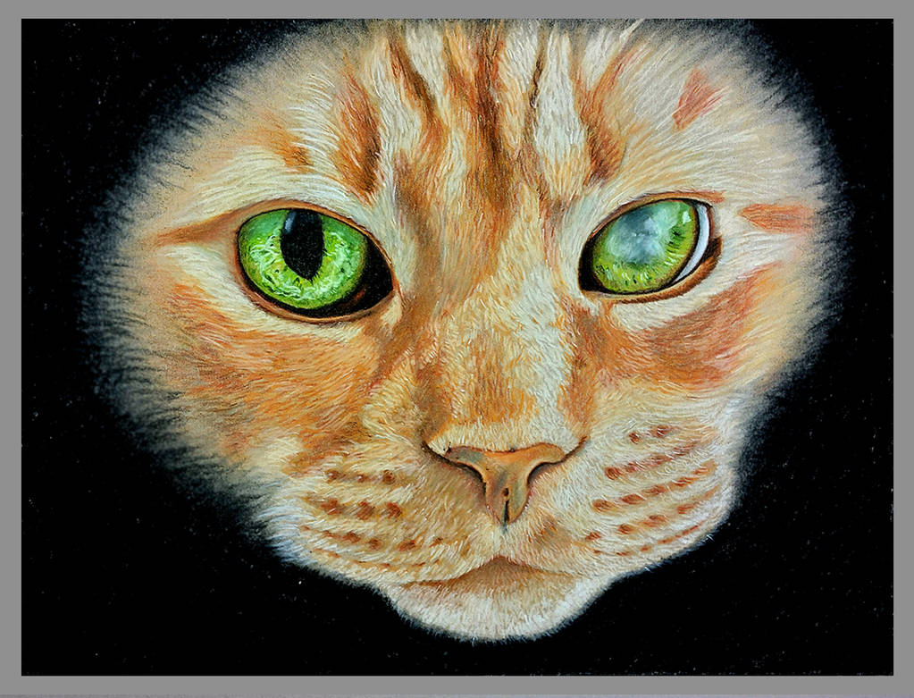 Timbit Art Timbit by ValeAeternum on DeviantArt