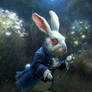 Alice - White Rabbit