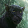 The Jungle Book: Bagheera concept