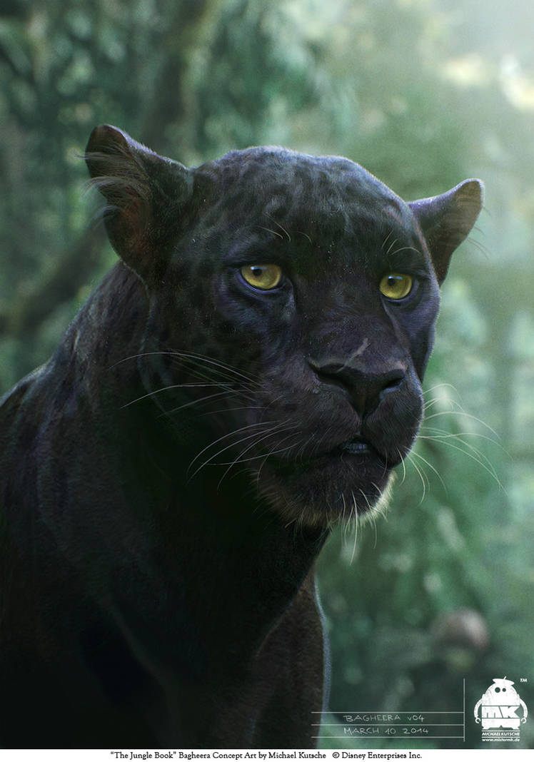 The Jungle Book: Bagheera concept by michaelkutsche
