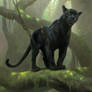The Jungle Book: Bagheera concept