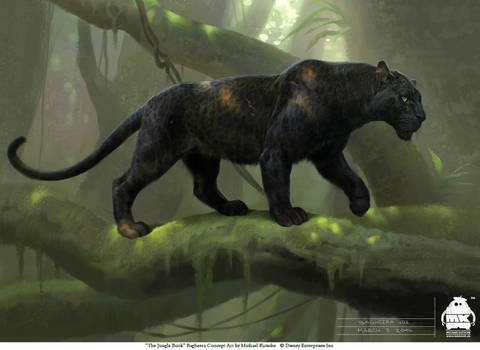 The Jungle Book: Bagheera concept