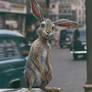 Christopher Robin: Rabbit Character Design