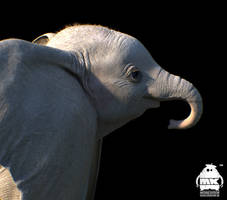 Dumbo: Character Design