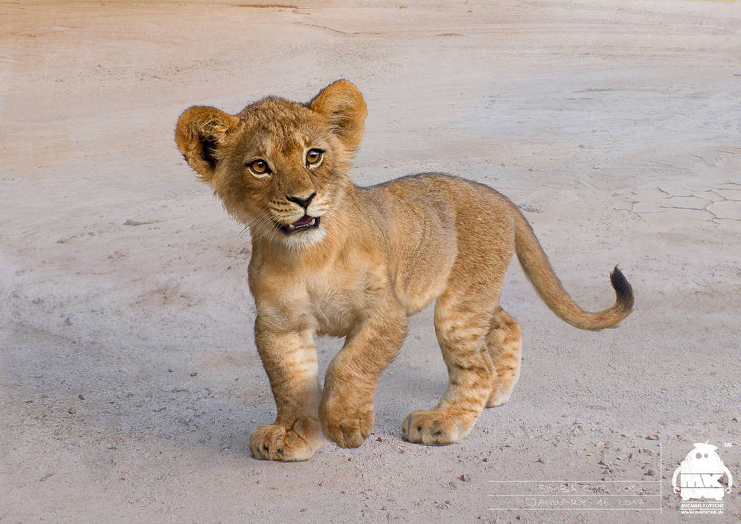 The Lion King: Simba Cub Character Design by michaelkutsche on DeviantArt