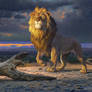 The Lion King: Mufasa Character Design
