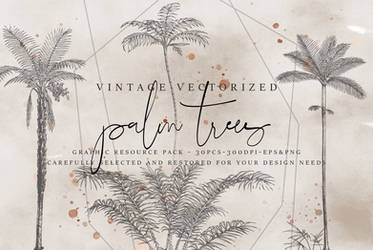 VintageVectorized Palm Trees Clipart