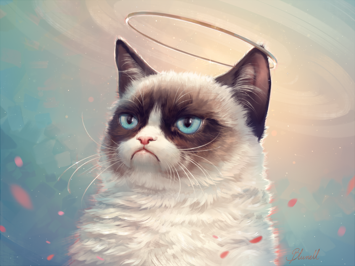 Grumpy Cat Rip Deviantart In Memory of Grumpy Cat by Blunell on DeviantArt