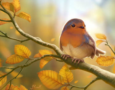 Autumn is here